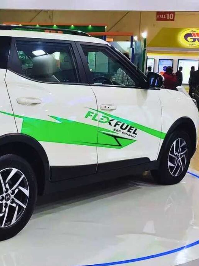 Xuv300 Flex Fuel 2024