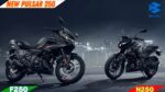 Pulsar 250 Dual Channel ABS